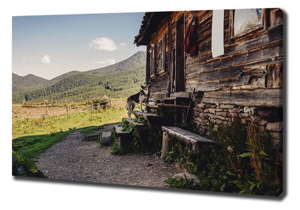 Print pe pânză Casa de lemn de munte