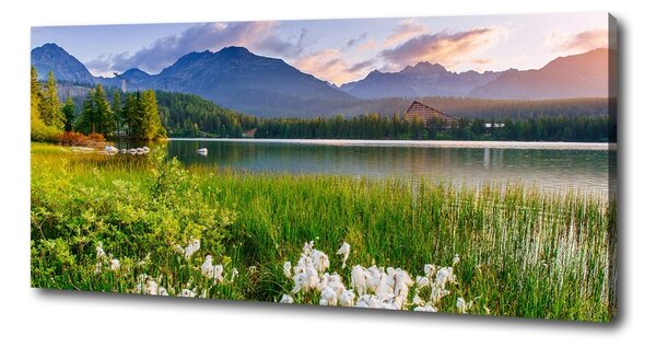 Tablou pe pânză canvas Lacul în munți