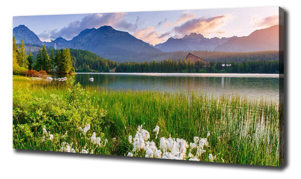 Tablou pe pânză canvas Lacul în munți