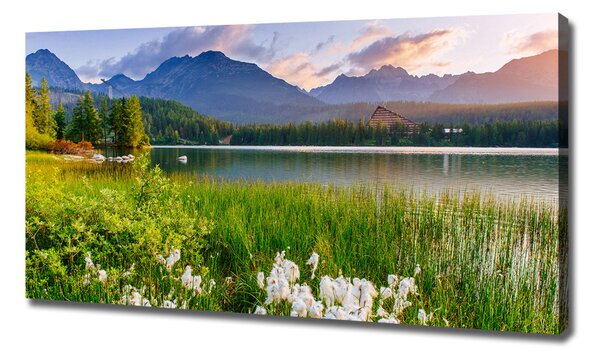 Tablou pe pânză canvas Lacul în munți