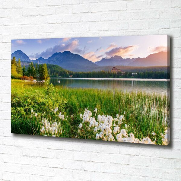 Tablou pe pânză canvas Lacul în munți