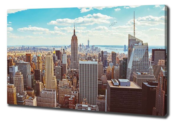 Print pe pânză New York pasăre de zbor