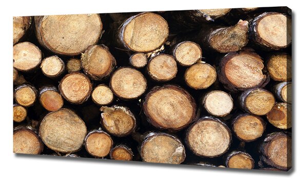 Tablou canvas busteni