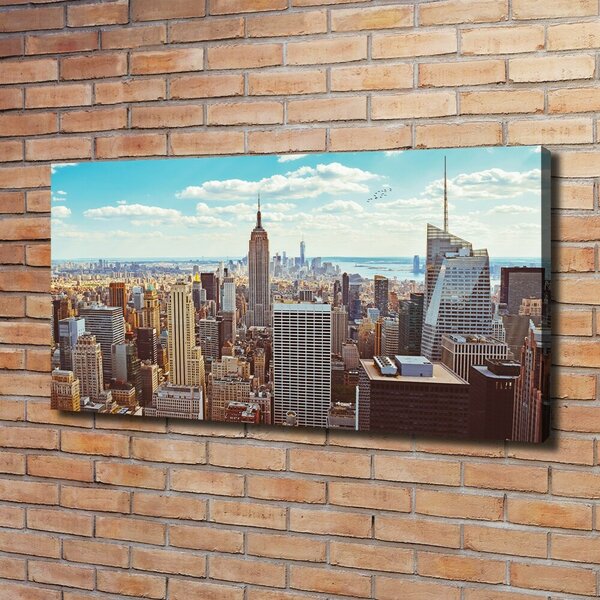 Print pe pânză New York pasăre de zbor