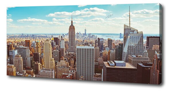 Print pe pânză New York pasăre de zbor