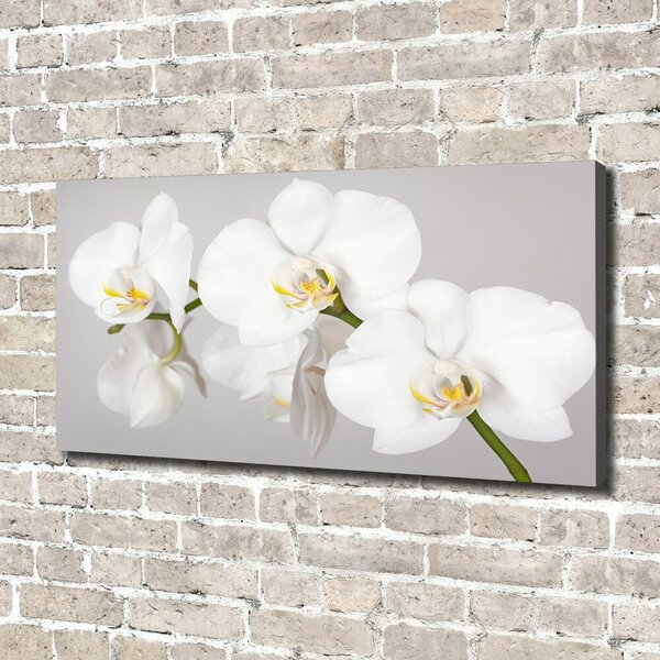 Tablou canvas Orhidee