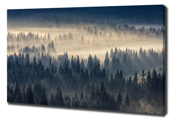 Print pe pânză Ceață peste pădure