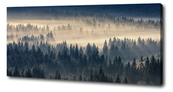 Print pe pânză Ceață peste pădure
