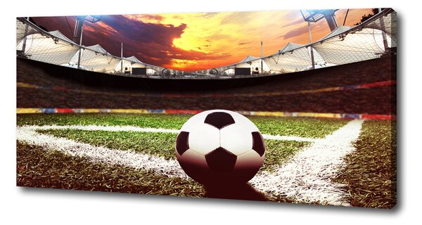 Tablou pe pânză canvas Stadion de fotbal