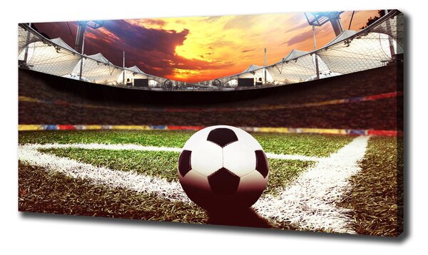 Tablou pe pânză canvas Stadion de fotbal