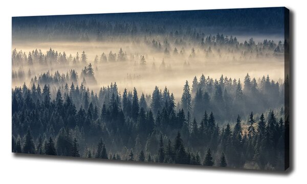 Print pe pânză Ceață peste pădure