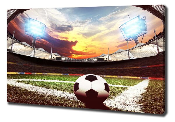Tablou pe pânză canvas Stadion de fotbal