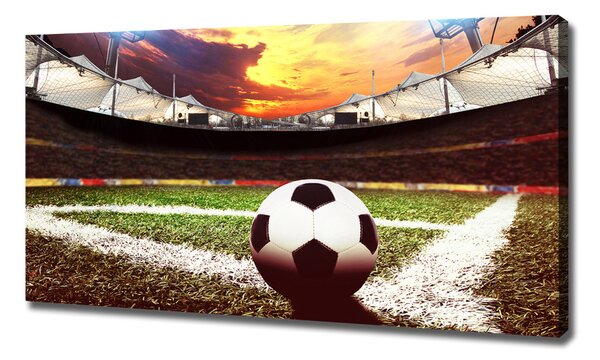 Tablou pe pânză canvas Stadion de fotbal
