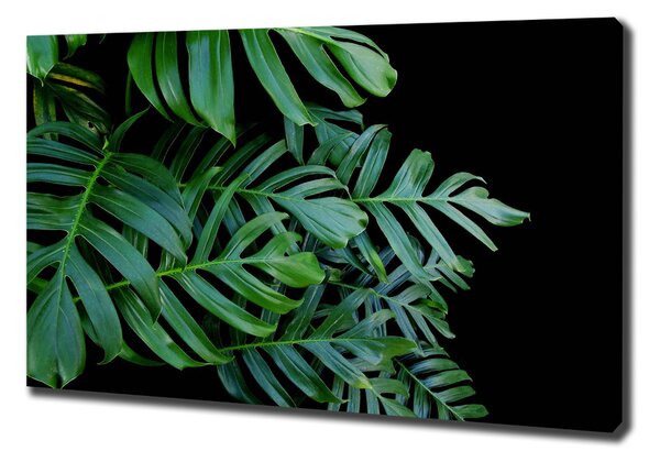Tablou pe pânză canvas Monstera