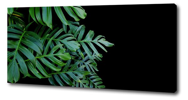Tablou pe pânză canvas Monstera