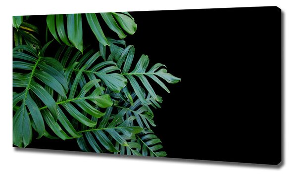 Tablou pe pânză canvas Monstera
