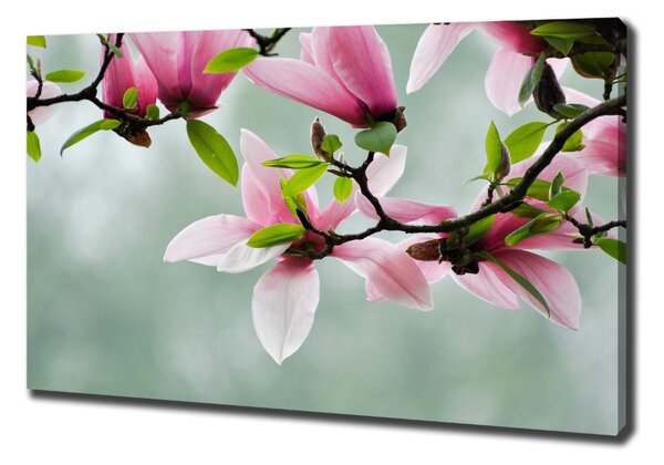 Print pe canvas Magnolie