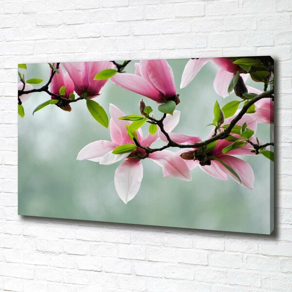 Print pe canvas Magnolie