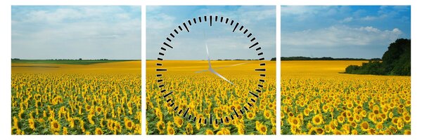 Tablou - câmp cu floarea soarelui (cu ceas) (90x30 cm)