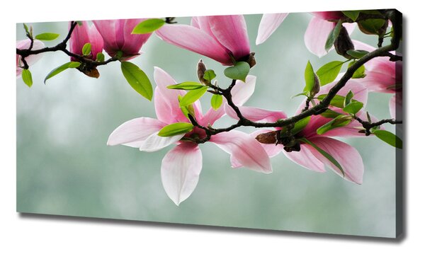 Print pe canvas Magnolie