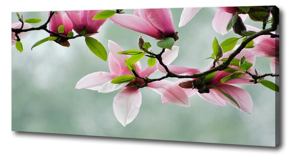 Print pe canvas Magnolie
