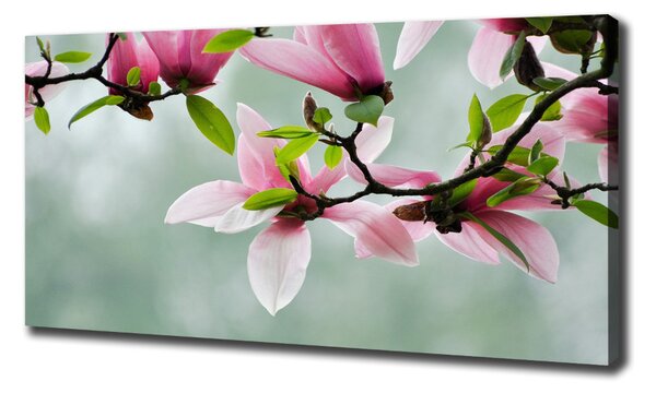 Print pe canvas Magnolie