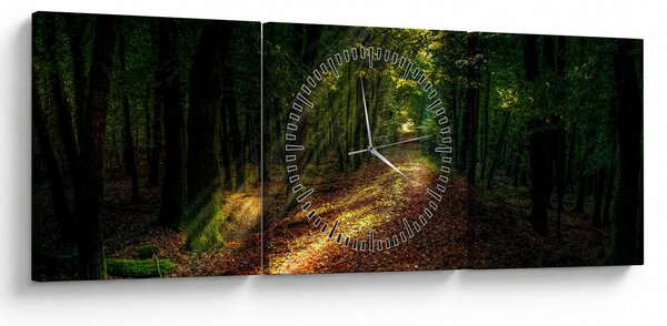 Tablou cu poteca prin pădure (cu ceas) (90x30 cm)