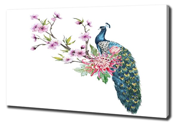 Tablou pe pânză canvas Peacock și flori