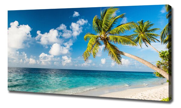 Imprimare tablou canvas plaja Maldive
