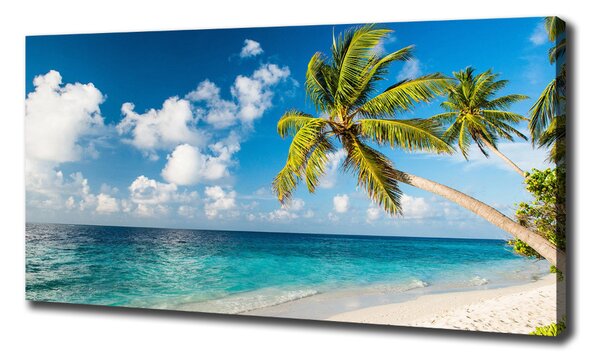 Imprimare tablou canvas plaja Maldive