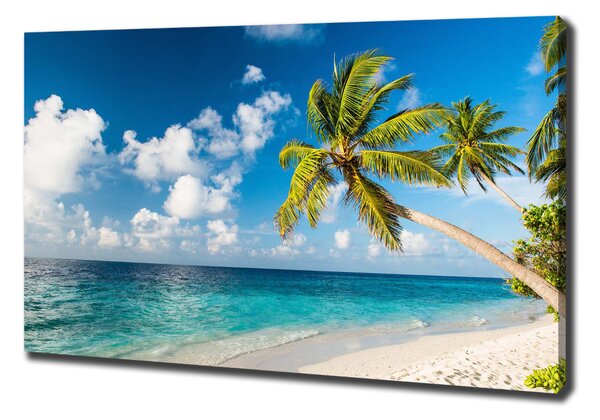 Imprimare tablou canvas plaja Maldive