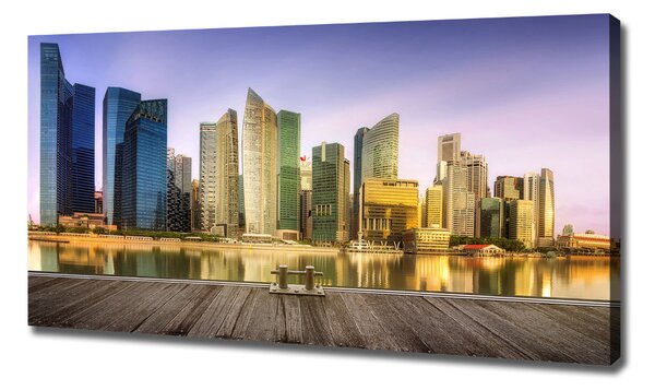 Pictură pe pânză Singapur