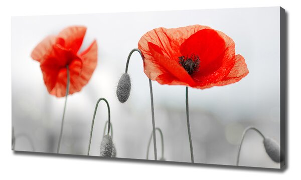 Print pe canvas Maki