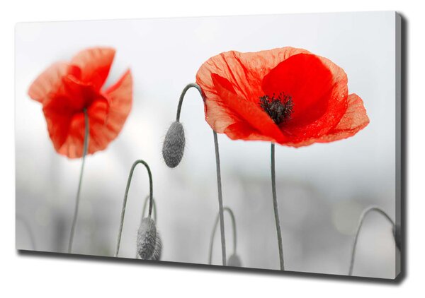 Print pe canvas Maki