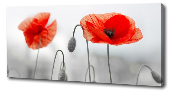 Print pe canvas Maki