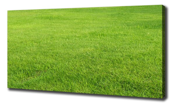 Tablou pe pânză iarbă verde