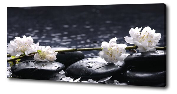 Imprimare tablou canvas floare de cires