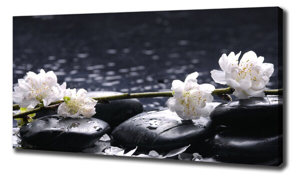 Imprimare tablou canvas floare de cires