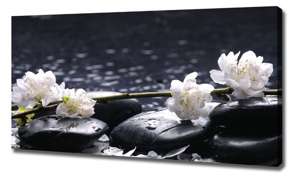 Imprimare tablou canvas floare de cires