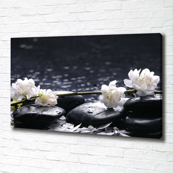 Imprimare tablou canvas floare de cires