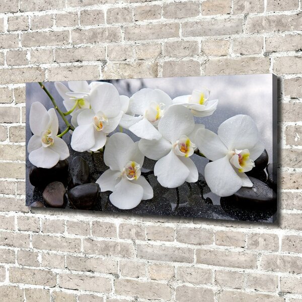 Tablou canvas Orhidee