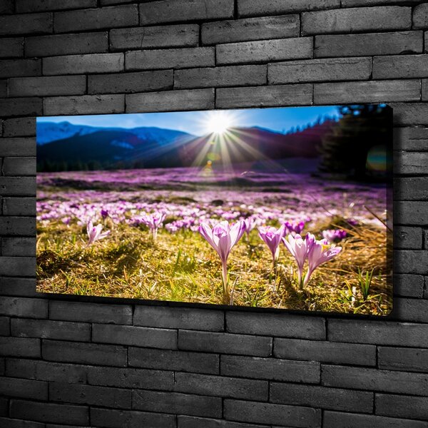 Tablou canvas Branduse în luminiș