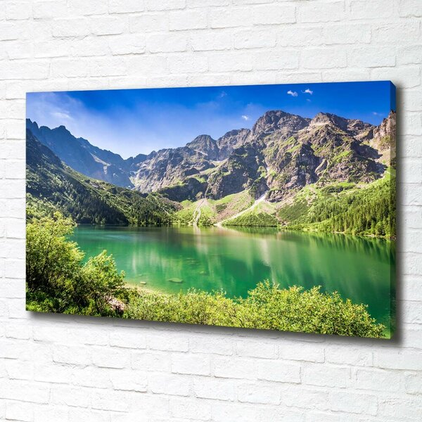 Imprimare tablou canvas Marine ochi Tatry