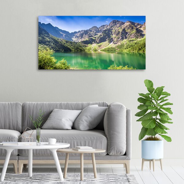 Imprimare tablou canvas Marine ochi Tatry