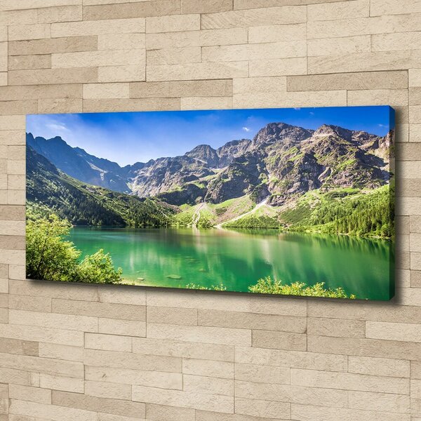 Imprimare tablou canvas Marine ochi Tatry