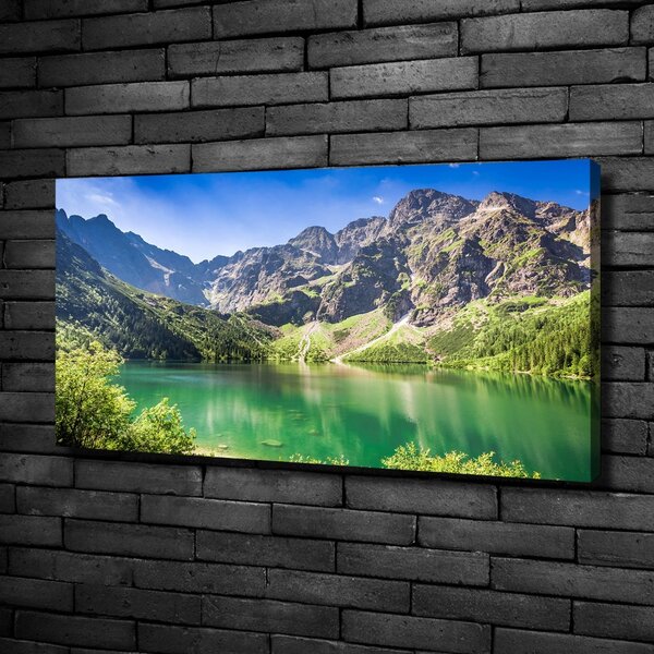 Imprimare tablou canvas Marine ochi Tatry
