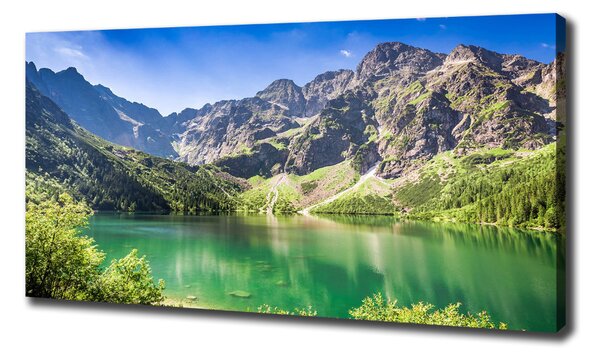 Imprimare tablou canvas Marine ochi Tatry