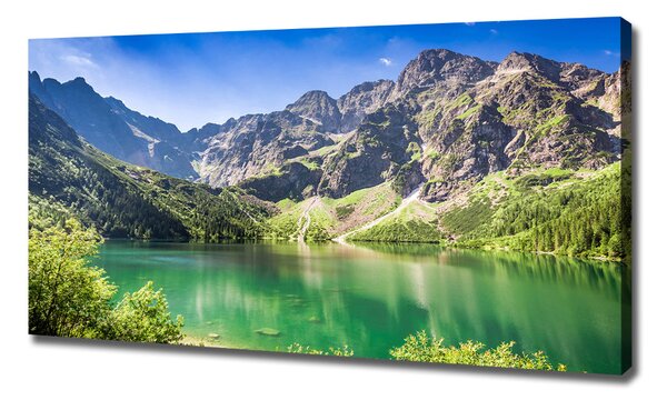 Imprimare tablou canvas Marine ochi Tatry