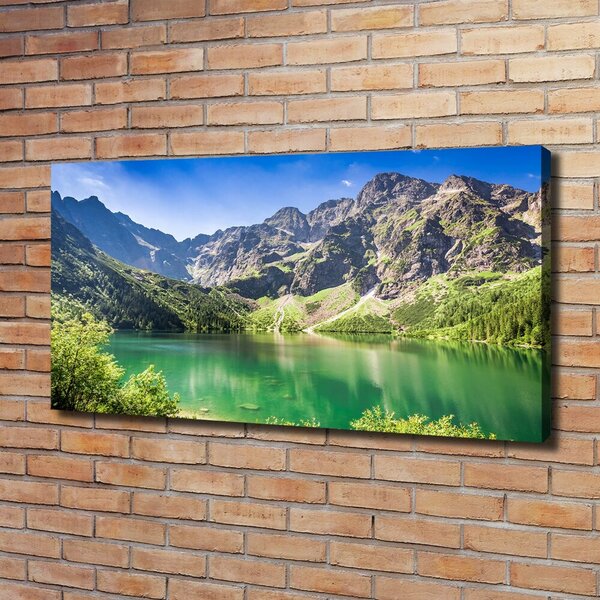 Imprimare tablou canvas Marine ochi Tatry