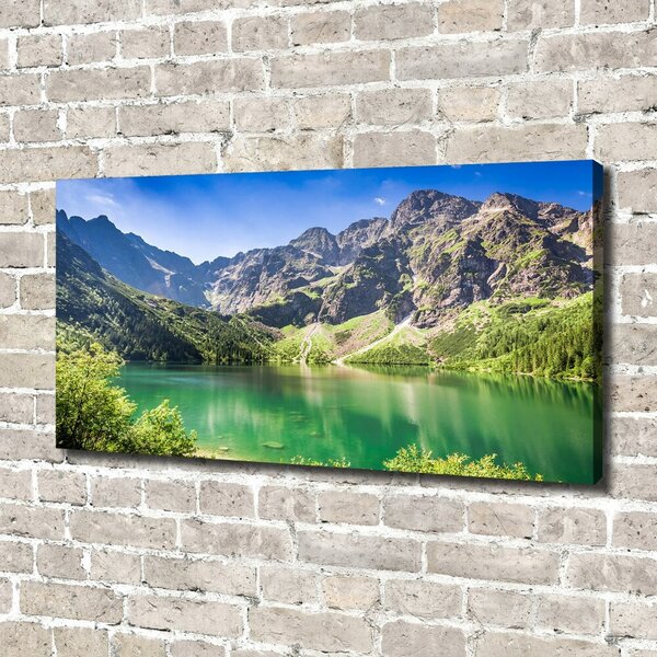 Imprimare tablou canvas Marine ochi Tatry